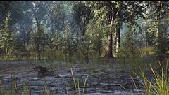 Ep. 10 - Il lago di ghiaccio: Il fenomeno inspiegabile di Sainte-Anne