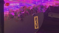 Ep. 7 - Modi per salvare il pianeta