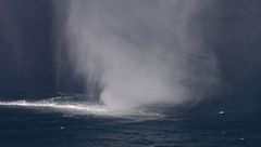 Ep. 1 - Il mostro di Lochness americano