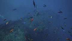 Ep. 3 - La nuova vita di Kudhi Maa