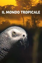 Il mondo tropicale