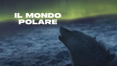 Il mondo polare