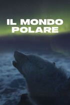 Il mondo polare