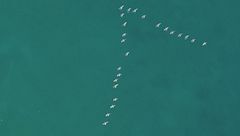 Ep. 1 - Pericoli tra le acque