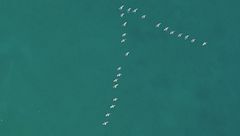 Ep. 1 - Pericoli tra le acque