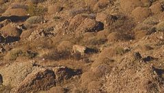 Ep. 2 - Scenari estremi per la sopravvivenza