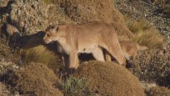 Ep. 2 - Scenari estremi per la sopravvivenza