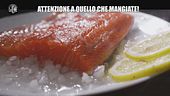 ANDREETTA: Attenzione a quello che mangiate!