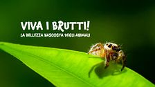 Viva i brutti! - La bellezza nascosta degli animali