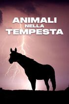 Animali nella tempesta