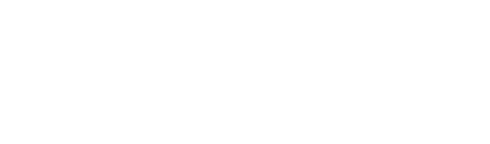 Animali nella tempesta - Film Mediaset Infinity