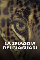 La spiaggia dei giaguari