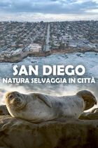 San Diego: natura selvaggia in città