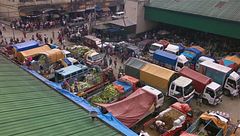 Ep. 4 - Filippine: Le serpentine della paura