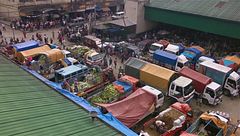 Ep. 4 - Filippine: Le serpentine della paura