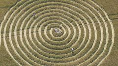 Ep. 2 - Codici nel grano