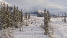Ep. 8 - I misteri dell'Alaska