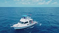 Ep. 1 - Il triangolo della follia