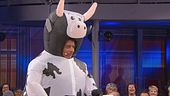 Le domande dello sponsor: la mucca