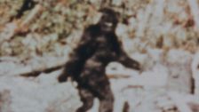 Seconda puntata