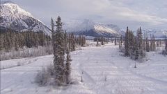 Quindicesima puntata