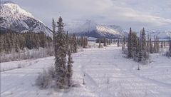 Quindicesima puntata