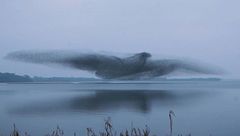 Ventottesima puntata