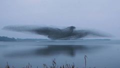 Ventottesima puntata