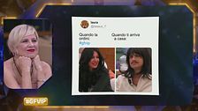 I meme cult di questa edizione