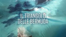 Il triangolo delle Bermuda