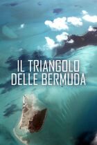 Il triangolo delle Bermuda