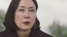 La vulnerabilità di Sophia