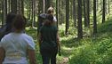 Il Forest Bathing