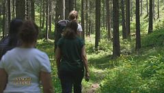 Il Forest Bathing