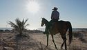 Conoscere l'isola di Djerba a cavallo