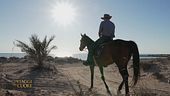 Conoscere l'isola di Djerba a cavallo