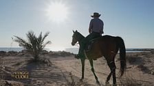 Conoscere l'isola di Djerba a cavallo