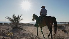 Conoscere l'isola di Djerba a cavallo