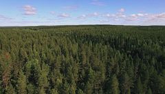 Ep. 4 - L'isola dei dinosauri