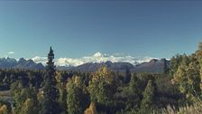 Ep. 3 - Incontri ravvicinati in Alaska
