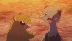 Ep. 9 - Il tesoro dell'eternità