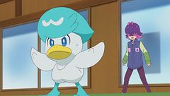 Ep. 14 - Danza, Quaxly! Fai vedere quello che sai fare!