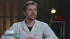 Ep. 2 - Punture e morsi