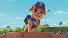 Squadra costruisce una pista da bowling / Squadra costruisce una passerella sui fiori