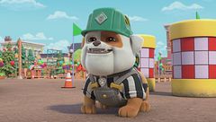 La squadra costruisce un safari di canguri / La squadra partecipa ai giochi dei costruttori