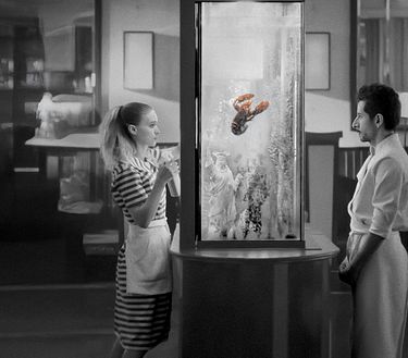 Aragoste a Manhattan