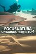 Ep. 5 - Sudafrica: la grande corsa