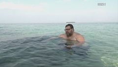 Il risveglio dei Senatori