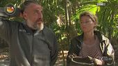 I commenti dei Naufraghi di Montecristo sulle dinamiche di Playa Uva