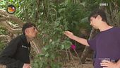 Un acceso confronto tra Samuele Bragelli e Lorenzo Tano
